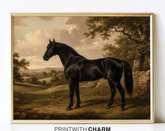 Vintage Black Horse Oil Painting Print Antique Equestrian Countryside Landscape Wall Art Decor