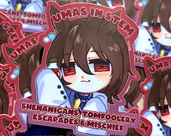 FUNNY CUTE Umamusume Pretty Derby Agnes Tachyon Sticker Chibi Vinyl Sticker for Anime Fans