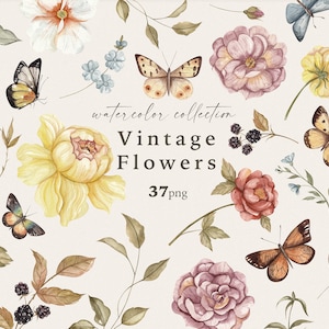 Vintage fleurs aquarelle Clipart fleurs sauvages jardin prairie petites fleurs roses botanique Clipart papillons mariage inviter Logo PNG