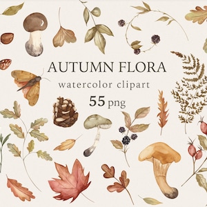 Clipart autunnale ad acquerello: flora del bosco, foglie, funghi (55 file PNG da scaricare)