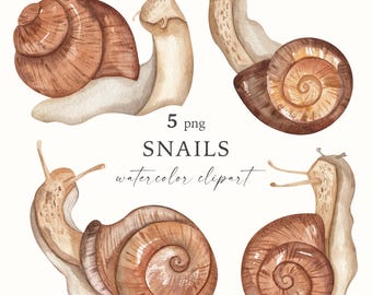 Watercolor Snail Clipart: Hand-Drawn Snails PNG (Digital Download)