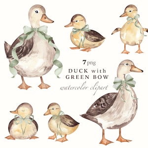 Green Bow Duck Watercolor Clipart, Rustic Nursery Art (Digital PNG)