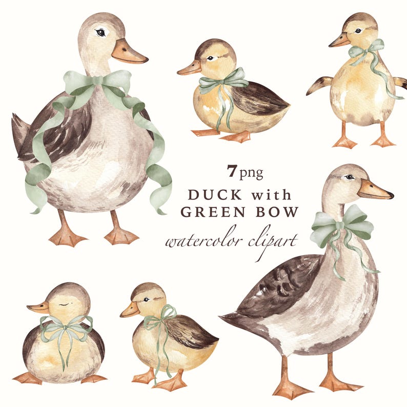 Green Bow Duck Watercolor Clipart, Rustic Nursery Art (Digital PNG)