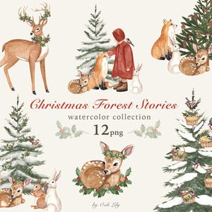 Clipart de compositions de forêt de Noël, vacances vintage aquarelle, amis animaux de la forêt d'hiver, cerf de Noël, arbre de Noël PNG