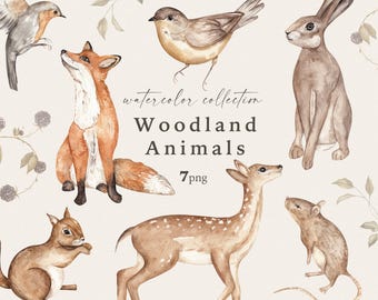 Watercolor Woodland Animals Clipart: Vintage Forest PNG (500 DPI)