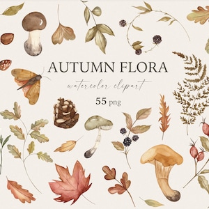 Acuarela Otoño Bosque Clipart Flora Otoño Hojas Mariposas Setas Florales Silvestres Elementos de Cosecha Boda Invitación Tarjeta Sublimación Png