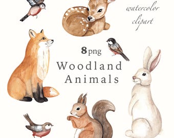 Woodland Animals Watercolor Clipart: Deer, Bunny, Fox, Squirrel, Birds (PNG Digital Download)