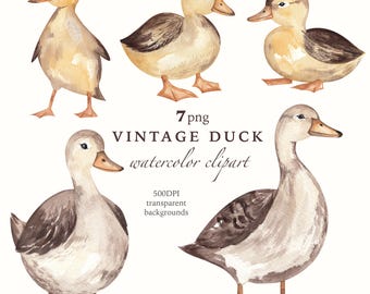 Vintage Ducklings Watercolor Clipart: Nursery Art, Baby Shower (Digital Download PNG, 500 DPI)