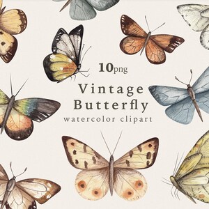 Clipart de borboleta aquarela vintage, Clip Art de borboleta colorida, Insetos de jardim, Primavera ternura, Conjunto de libélulas PNG, Uso comercial