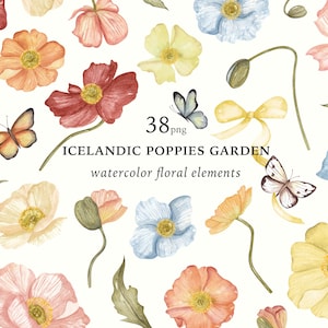 Fleurs de coquelicots d'Islande à l'aquarelle, Clipart fleurs sauvages, éléments floraux Png, fleurs aux couleurs vives, mariage dans les prés, impression par sublimation, ensemble numérique