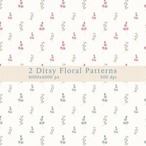 May include: Two ditsy floral patterns on a cream background. One pattern features pink flowers, the other blue. The flowers are small and delicate, with green stems and leaves. The image includes the text "2 Ditsy Floral Patterns 6000x6000 px 500 dpi."
