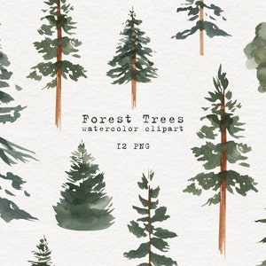 Acuarela Árbol Clipart PNG Bosque Ilustración Digital Bosque Abeto Pino Hoja Perenne Invitación de Boda Logotipo Uso Comercial Naturaleza Verde Arte