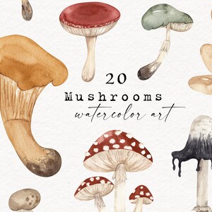 May include: A set of 20 watercolor illustrations of mushrooms in various colors and shapes. The mushrooms are painted in a realistic style and include brown, red, green, and white mushrooms.