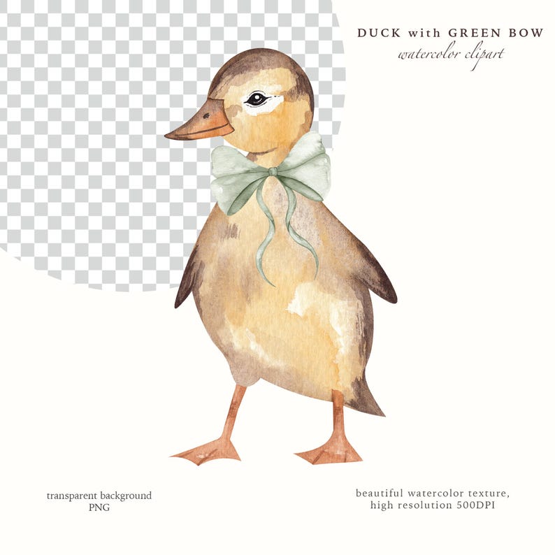 Green Bow Ducks Vintage Watercolor Clipart, Rustic Duckling Farm, Country Cottage Nursery Decor, Barnyard Animal Digital PNG, Commercial Use