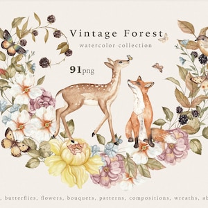 Clipart aquarelle forêt Vitage animaux de la forêt faire-part de mariage éléments floraux logo vintage fleurs motifs sans couture Clipart chambre d'enfant