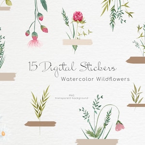 Wildblumen Digitale Aufkleber Botanicals Feld Gras Kraut Planer Aufkleber für digitales Journaling Goodnotes Wiese Pflanzen Florale Notizen Png