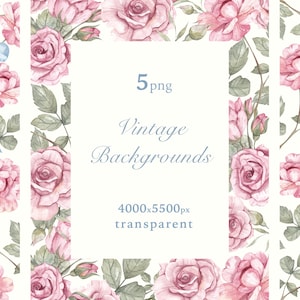 Clipart cadre roses roses, cadre floral délicat aquarelle, cadre vintage roses fard à joues et noeuds, invitation de mariage, baby shower, sublimation png