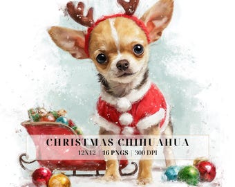 ミニミニ麻カゴのストラップ♡サンタ帽子のチワワちゃん♡クリスマス♡ リリーとでーと𝗗𝗮𝘆♥️ 行きたかった𝖷𝗆𝖺𝗌 𝖢𝖺𝖿𝖾へ🎄🎠𓈒𓂂