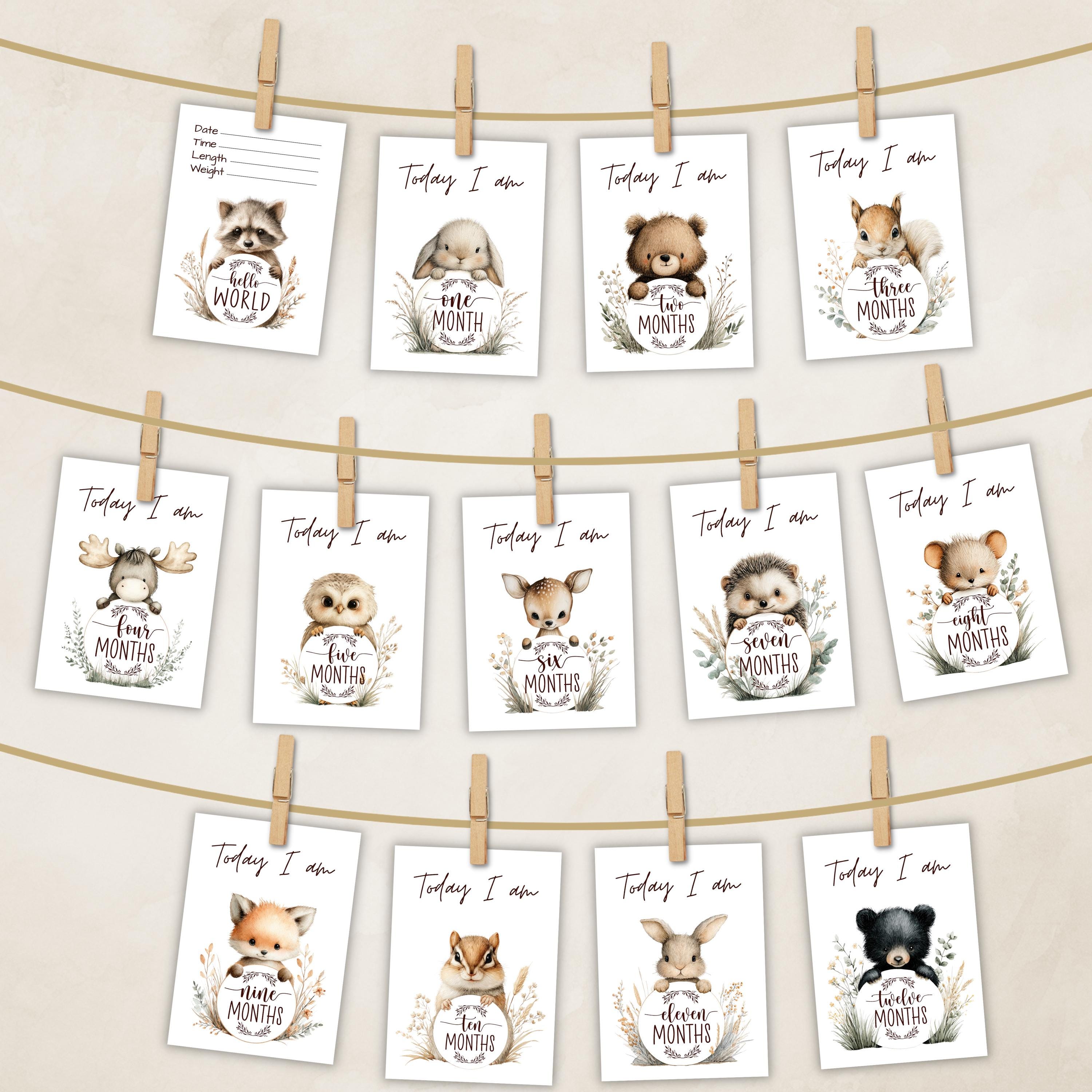 Woodland Animals Baby Milestone Cards | 5x7 Printable Monthly Newborn ...