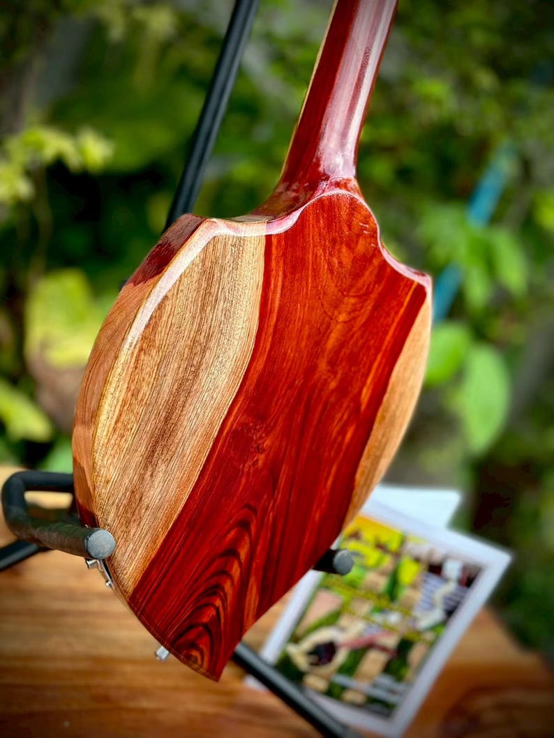 3 Strings Phin Electric Acoustic Guitar Traditional Musical Instrument ...