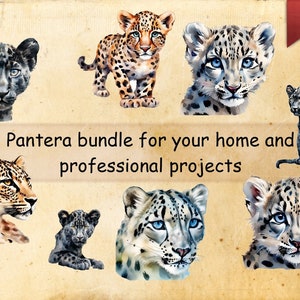 Pantera Bundle 27 png printable files of panteras transparent background clipart professional   AI art or for commercial  personal projects
