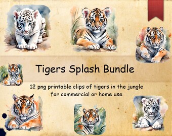 Tigers Splash Bundle 12 png printable files of tigers in the jungle transparent background AI generated commercial or home use clips
