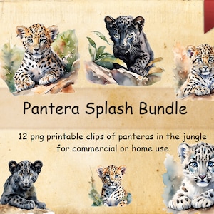 Pantera Splash Bundle 12 png printable files of panteras in the jungle transparent background AI generated commercial or home use clips