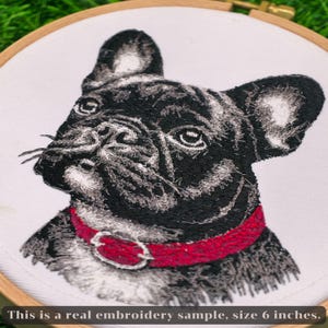 Französische Bulldogge Stickdatei, 5 Größen (Digitaler Download) Bild 6