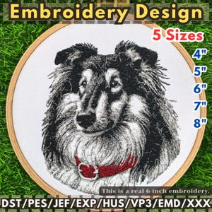 Collie Dog Embroidery Design: Machine Embroidery Pattern (5 Sizes, Digital Download)