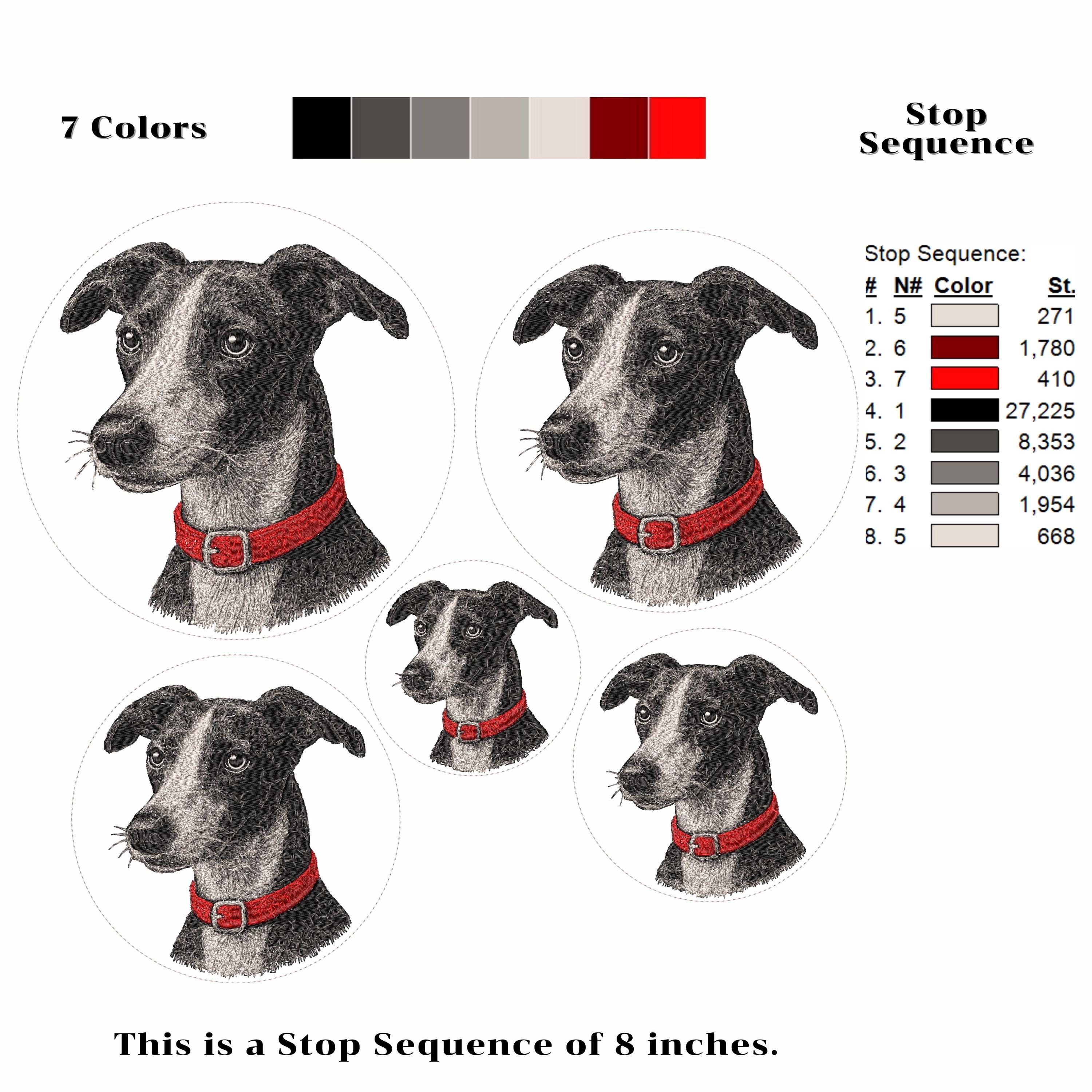 Whippet Dog Embroidery Design – 5 Sizes (digital Download) - Etsy