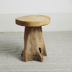 Taburete de raíz de teca, mesa auxiliar de madera orgánica, taburete rústico escultural de tocón de árbol, soporte para plantas de madera dura natural vintage