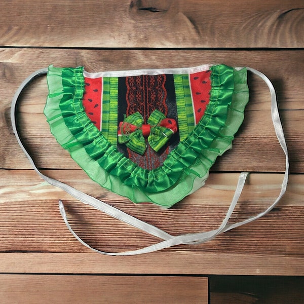 4 Pack Small/Medium Whimsical Watermelon Dog Grooming Bib (Necklace/Bow Tie/Bandana) Summer/Everyday
