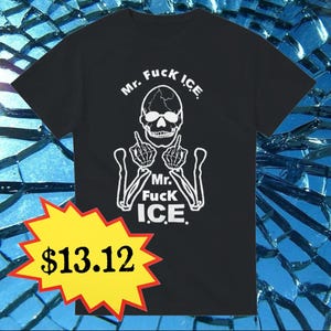Mr. F**k I.C.E. - Camiseta unisex de cuello redondo de peso pesado / Gildan® 5000 Black