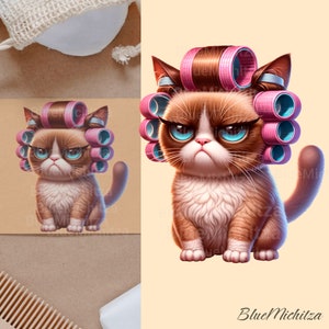 chat drôle grincheux, chat adorable, png, chat fou, chat en colère, pour le transfert, sublimation, girly chat qui s'ennuie