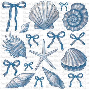 Archivo PNG de conchas marinas con lazo azul de moda, collage de conchas marinas, playa, camiseta de playa, sublimación de camisetas, camiseta de conchas marinas, verano