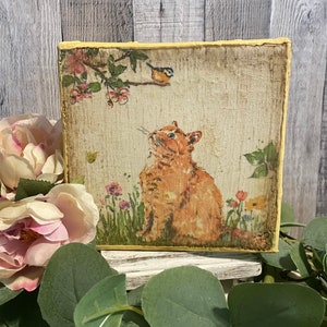 Regalo para amantes del jardín, bandeja y mesa de primavera para amantes de los gatos atigrados naranjas, regalo de primavera para decoradores de casas de campo, letrero de gato