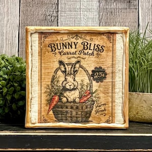 May include: Square wooden sign with a vintage design. The sign features a bunny in a basket with carrots, the text "Bunny Bliss Carrot Patch", and "Farm Fresh". The sign has a distressed, rustic look with a light wood frame.