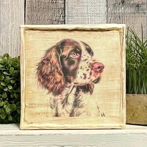 May include: Square wooden sign featuring a detailed portrait of a dog, primarily brown and white, with a pink nose and expressive eyes. The artwork is set against a light, textured background, framed by a distressed, off-white border. The sign is displayed on a white surface.