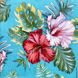 May include: A turquoise blue background with a tropical floral design. The design features pink and red hibiscus flowers with green leaves.