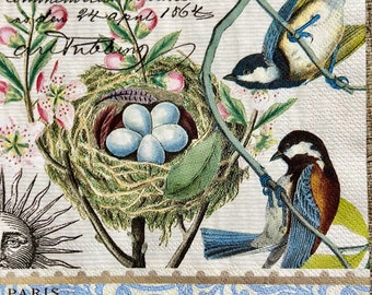 Bird Nest Eggs Spring Luncheon Napkin Party Decoupage Crafting