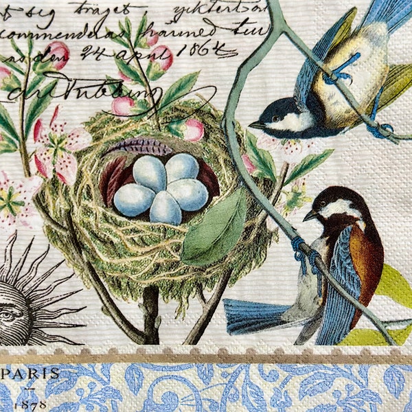 Bird Nest Eggs Spring Luncheon Napkin Party Decoupage Crafting