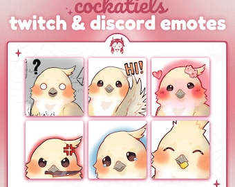 Pacote de Emotes Fofos de Calopsitas (6) - Emoji Png 112x112 do Discord e Twitch - Periquito Papagaio Chibi