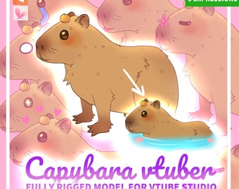 CAPYBARA VTUBER em POOL mutável - avatar de animal meme fofo modelo live2D - animal chibi totalmente equipado capy - recursos de streamer do Twitch bobo