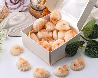 Pastillas de cera aromáticas con aroma a coco y conchas marinas, fragancia tropical para el hogar (caja de regalo)