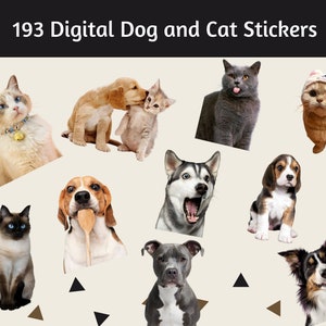 May include: A collection of 193 digital stickers featuring various breeds of dogs and cats. The stickers include a variety of poses and expressions, such as a dog with a spoon in its mouth, a cat wearing a hat, and a husky with its mouth open.