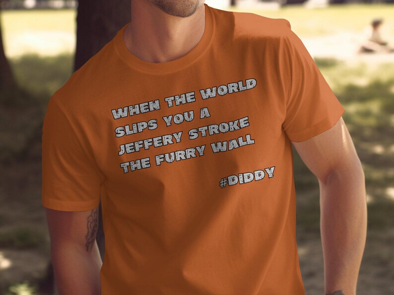Diddy, Stroke the Furry Wall, Diddler Tshirt, Unique Statement Shirt
