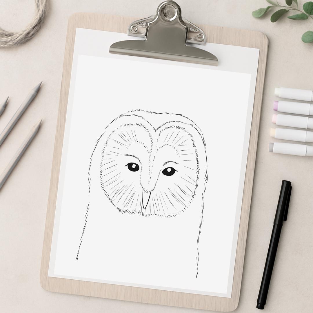 Owl Coloring Page: Hand-Drawn Woodland Animal Art (PNG Digital Download 8.5x11in
