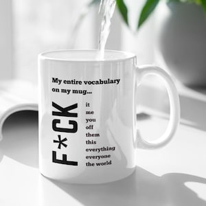 Funny swearing Humour Mug - Offensive Quote Tea Mug, Inappropriate Gift, Swear Word Coffee Cup, Gift for someone with a limited vocabulary