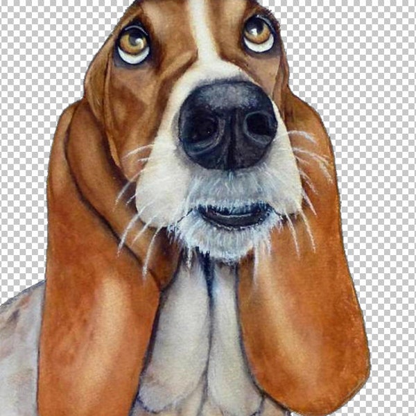 Hand drawn watercolor painting ... Hound Dog Eyes Digital Download Transparent Background PNG