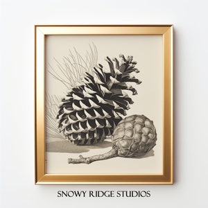 Vintage Painting Of A Pinecone I Cabin Décor I Digital Print